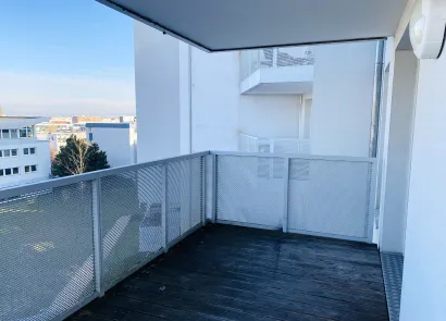 Location 67200 strasbourg 7083